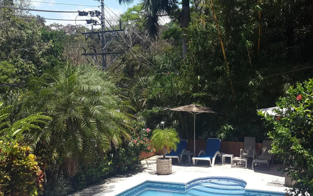 Hotel Colibri