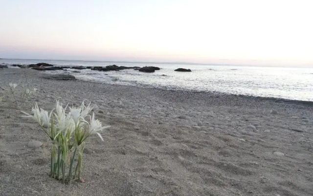 Thalassa House Apartments