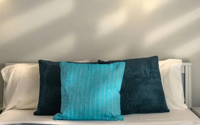 Rodi blue