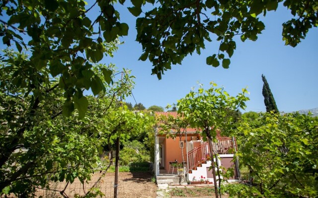 House With Large Garden, Right Next to the River