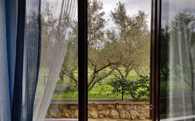 Apartment Bella Rosa