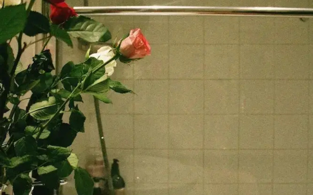 London Gem - Chic Apartment Retreat