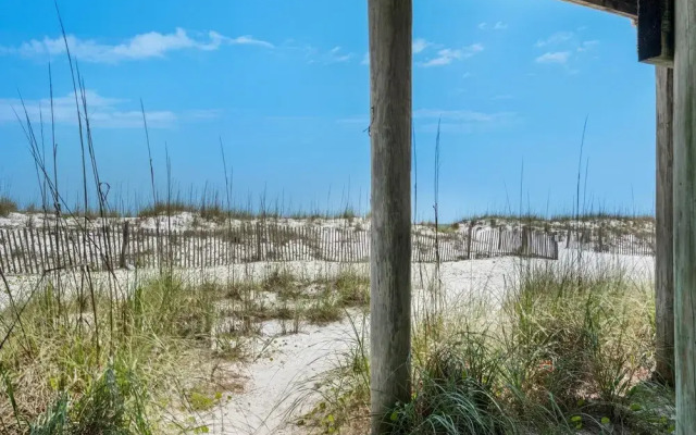 White Sands 459