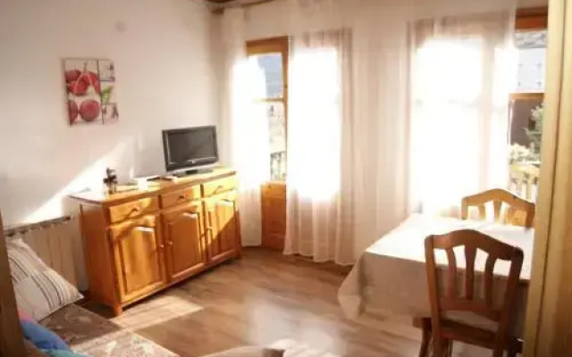 Apartaments Pont Romànic