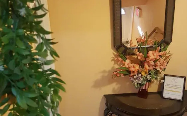 Eden Park Guest House