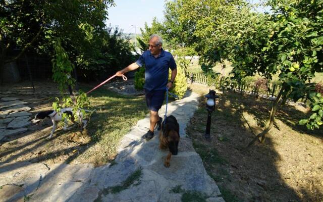 Castle Nolana Hotel & Horse Club