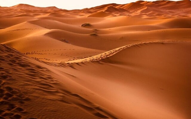 Paradis Touareg