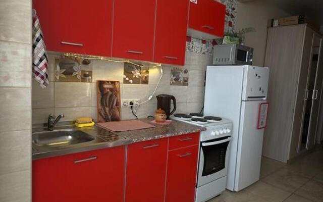 Апартаменты на улице Касьянова 4