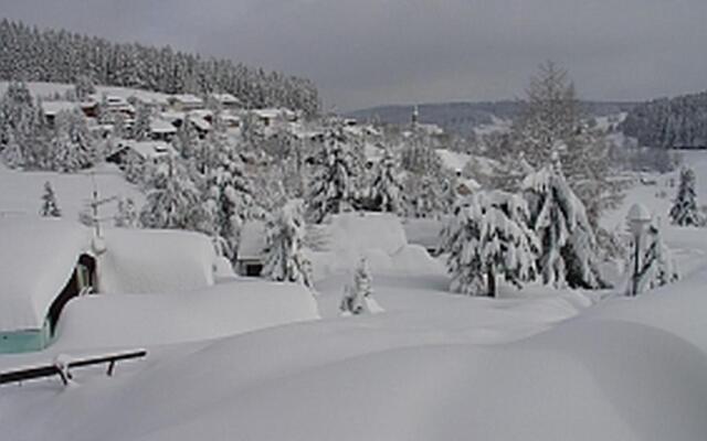Ferienwohnungen Hochschwarzwald