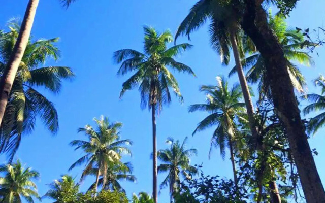 JuRiSu Resort