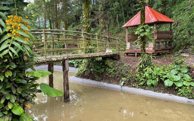 Bloomfield Farmhouse and Eco-Resort - 2