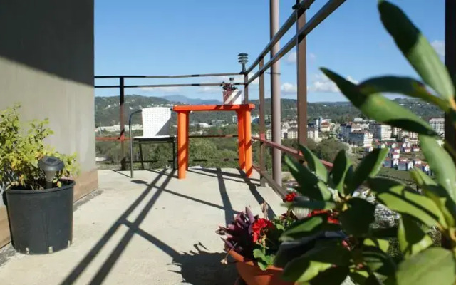 Panorama