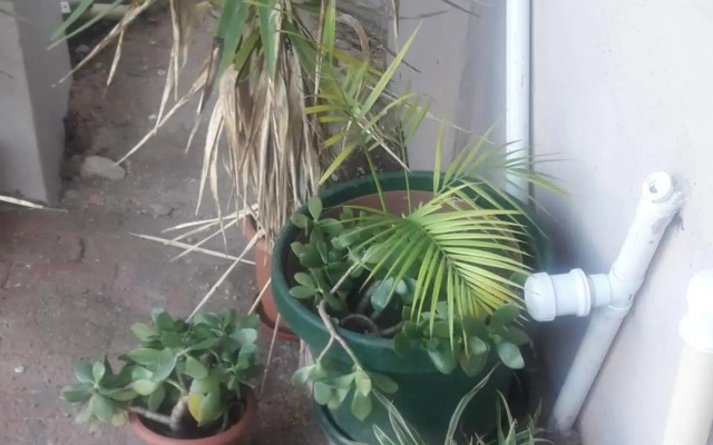 Self-catering Studio, Unit 6 on Krupp