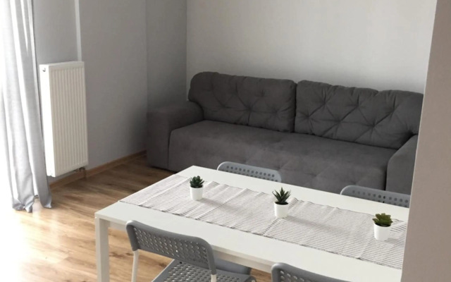 Scandinavian apartment