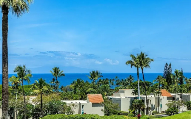 Palms At Wailea 1501 1 Bedroom Condo