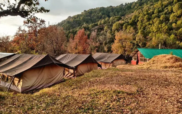 Monkey Mud Hostel And Camps