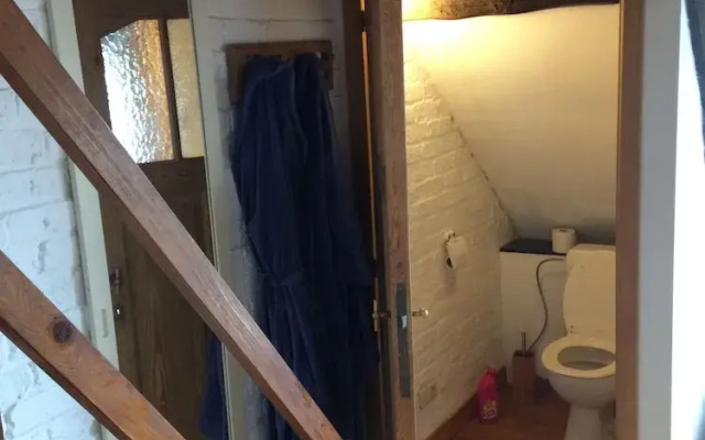 La maison des chiens