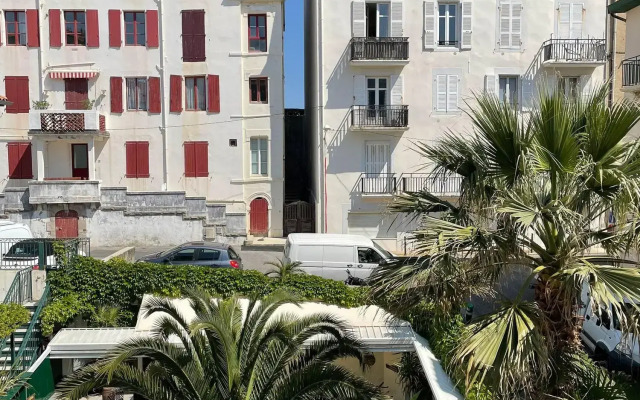 Palmito