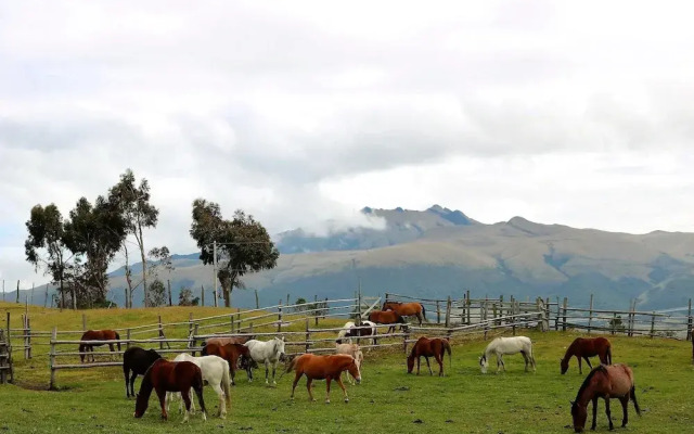 Hacienda El Porvenir