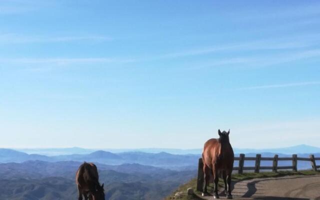 Ferienhaus Ca Piero mit Pool 17 bis 20 Personen