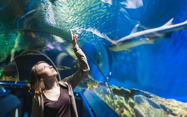 Luxury Two Bed Apartment With Roof Terrace