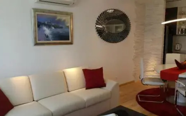 Luxury Apartment