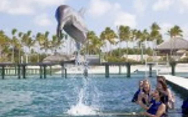 Caribbean Experience Playa Bavaro 1R. Office (14)C