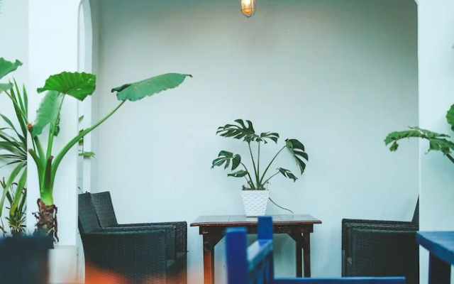 Dalat Blue House Homestay & Cafe