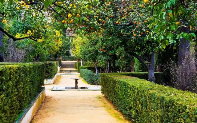 The Fisherman’s Suite –  Steps from the beach