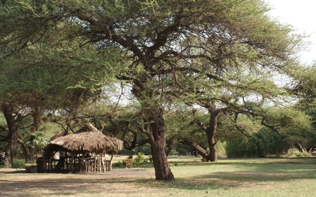 Lake Natron Tented Camp