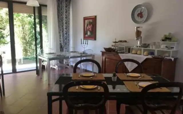 BB Casa Tomato
