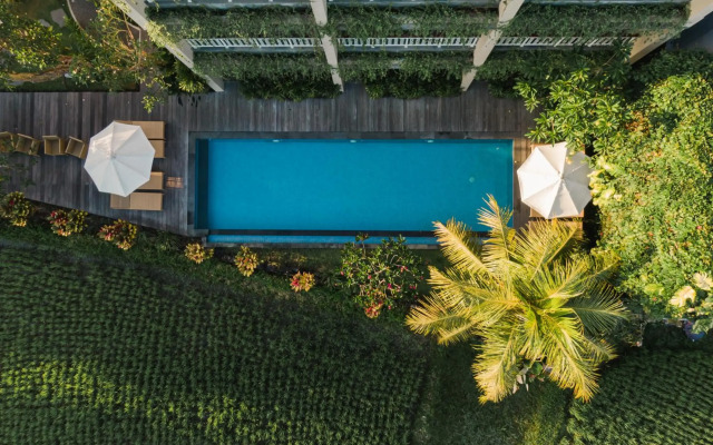 Byasa Ubud