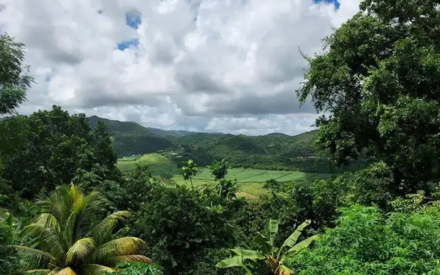 Appartement T2 le Vallon au Marin Martinique