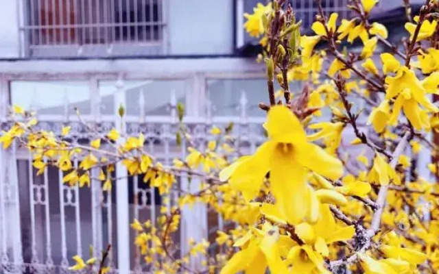 Haoyunke Apartment Hostel