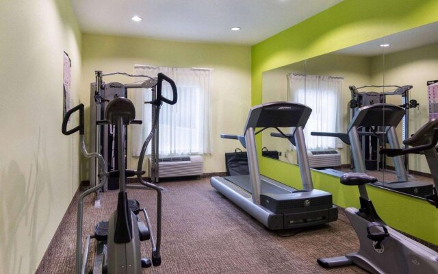 Comfort Inn & Suites Houston FM1960 - Champions