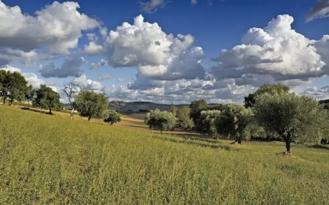 Agriturismo Il Gelso Antico