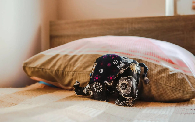 Vilnius Home Bed and Breakfast