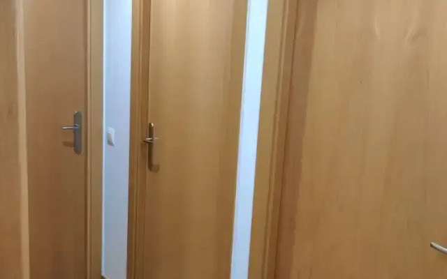 HIDALMEN Arte Rupestre