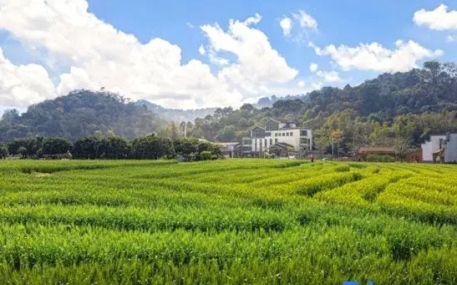 Luodong Craftsman Town Liuxi Countryside Shangju