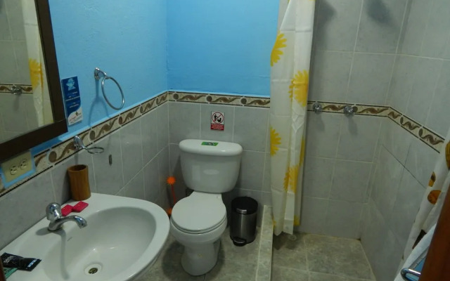 Hostal Flightless Cormorant