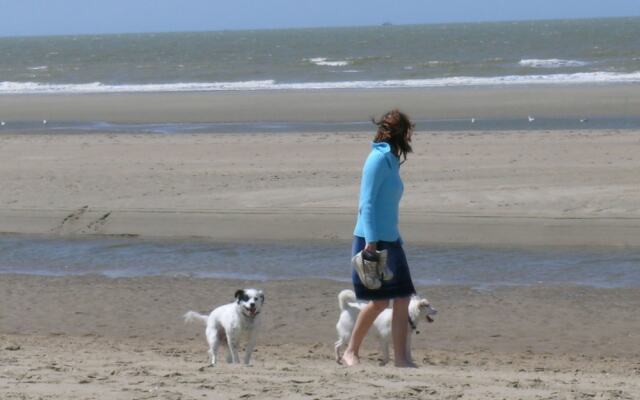 Attractive Apartment in Knokke-heist With Terrace