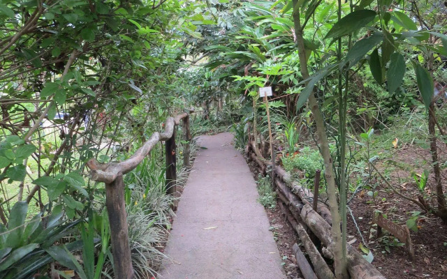 Hotel Rinconcito Verde