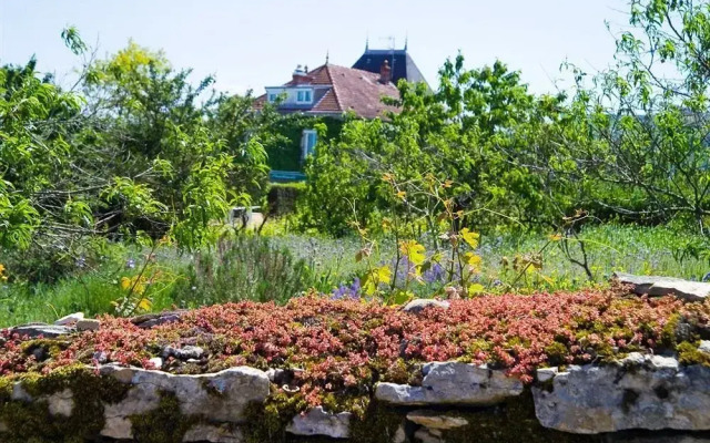 Les Paulands