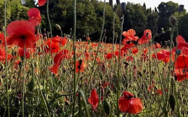 Solimago Dimora Storica