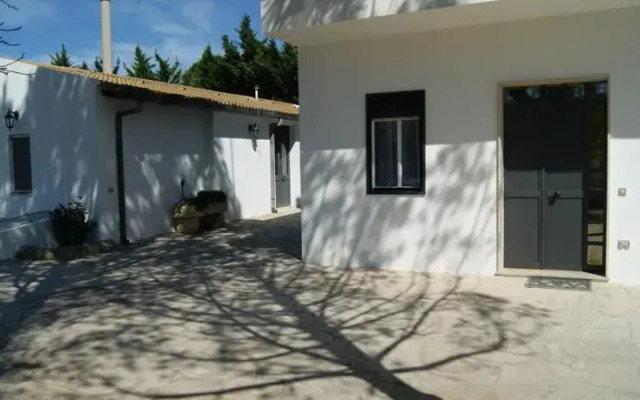 Tenuta Il Vigneto