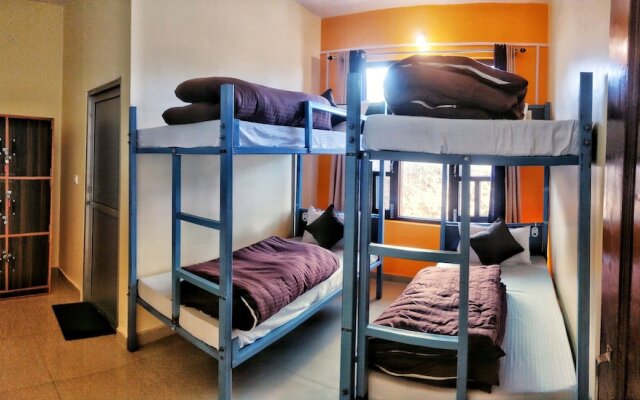 The Bunker Hostel - Dharamkot