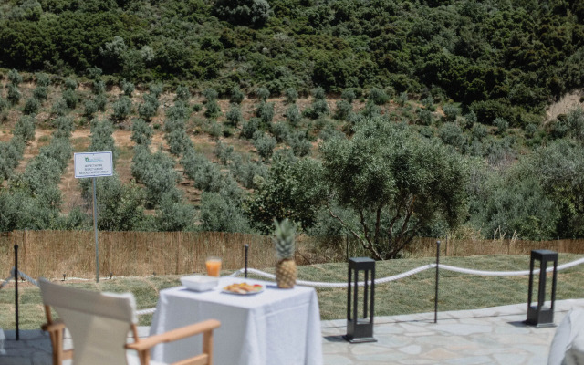 Socrates Organic Village - Wild Olive