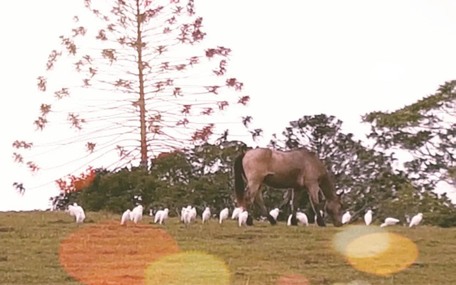 Eumundi Mountain Retreat