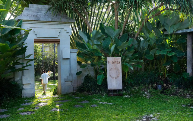 Planta Luxury Boutique Resort