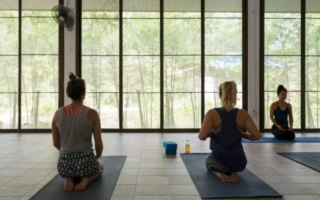 Wonderland Healing Center